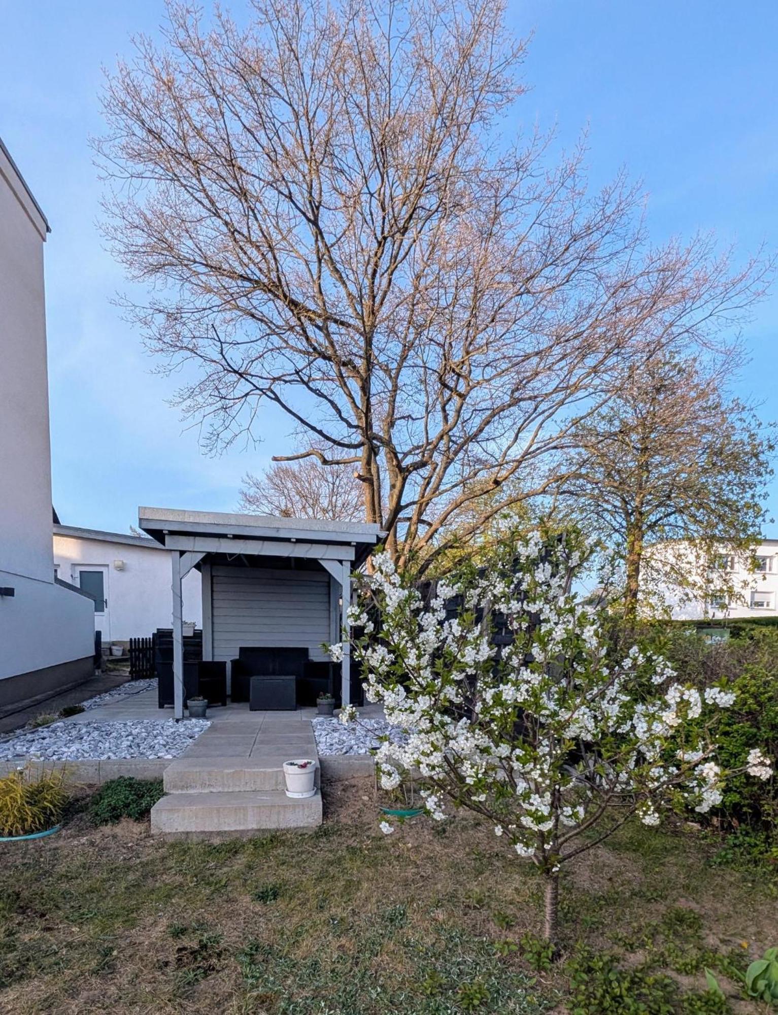Ferienunterkuenfte Zwischen Meer & See Heringsdorf  Eksteriør bilde
